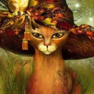 Meet your Posher, Linda